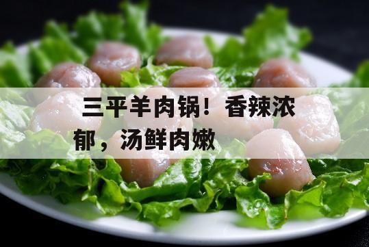  三平羊肉锅！香辣浓郁，汤鲜肉嫩